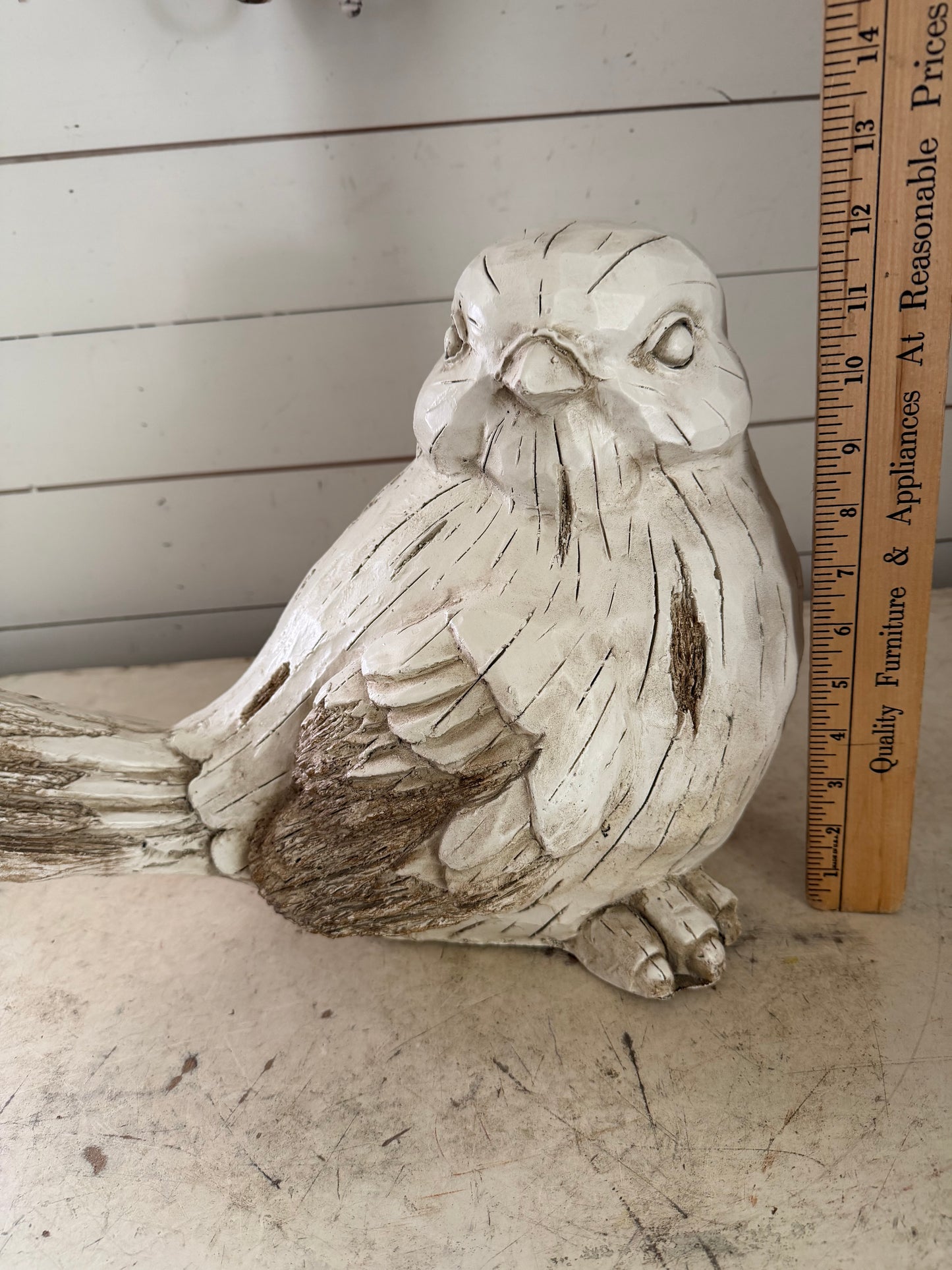 Large Garden Bird