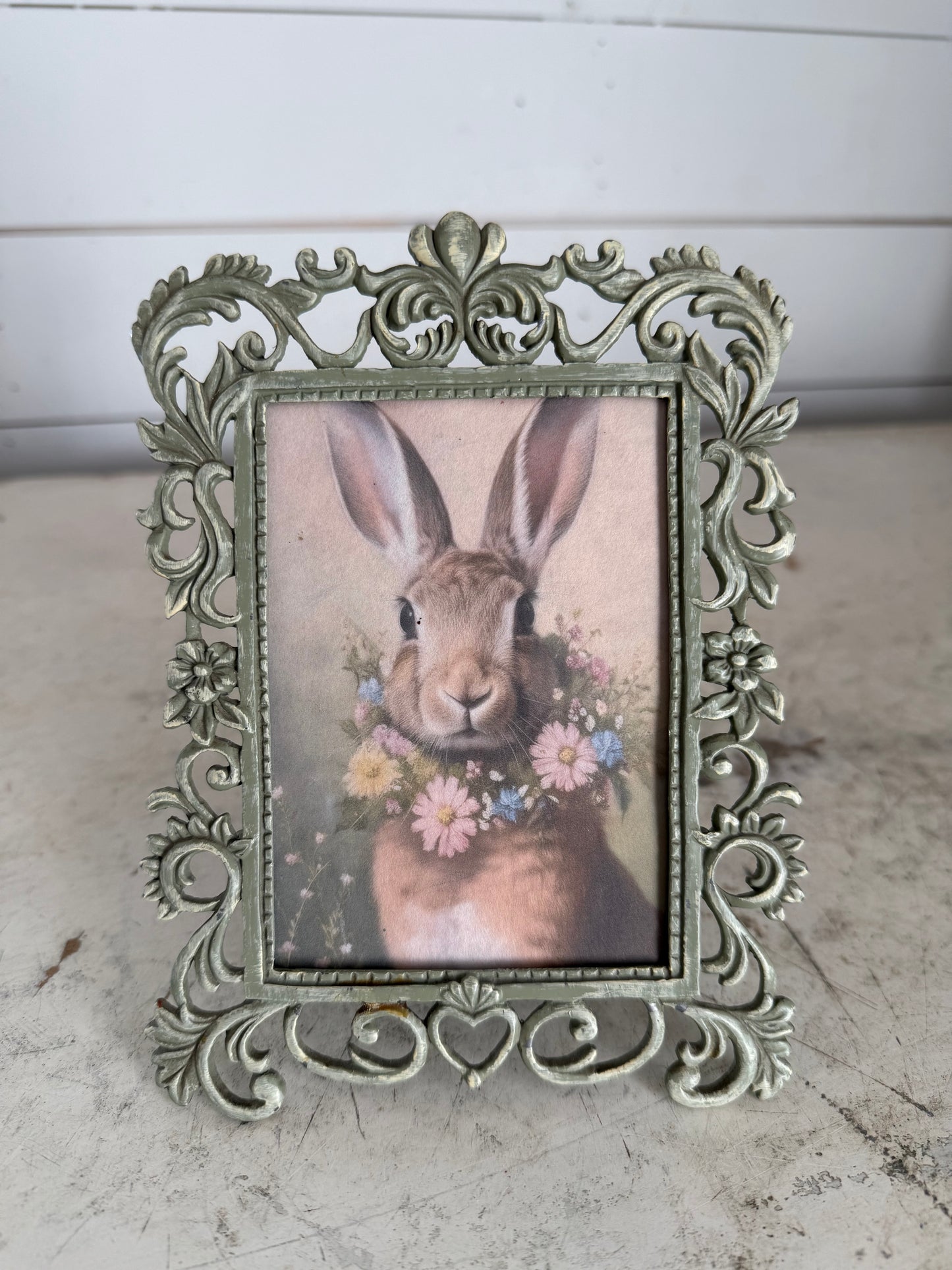 Framed Bunny Photo