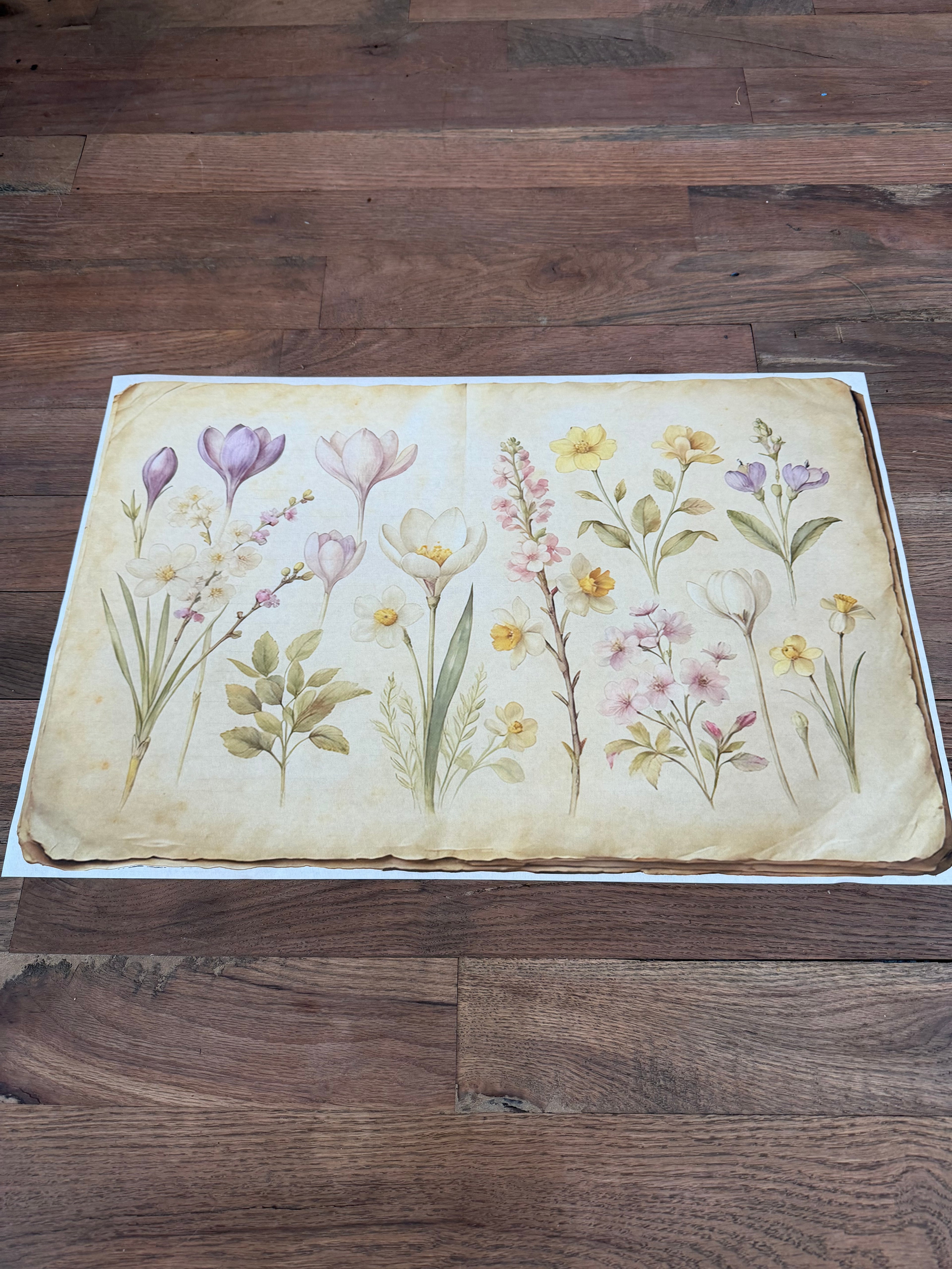 Mixed Wildflower| JRV Medium Rice Paper