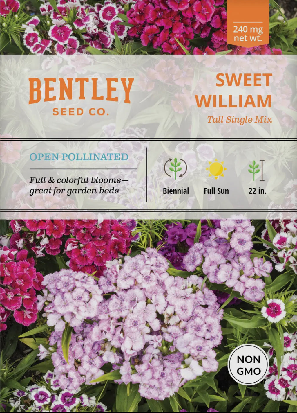 Bentley Seeds