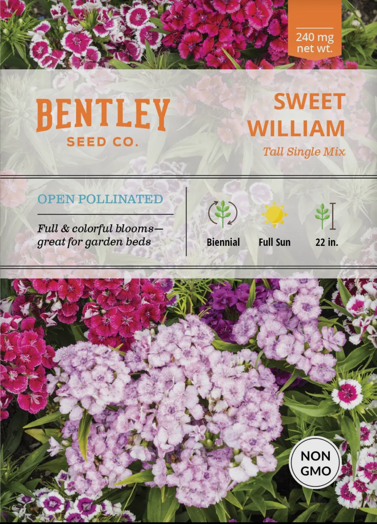Bentley Seeds