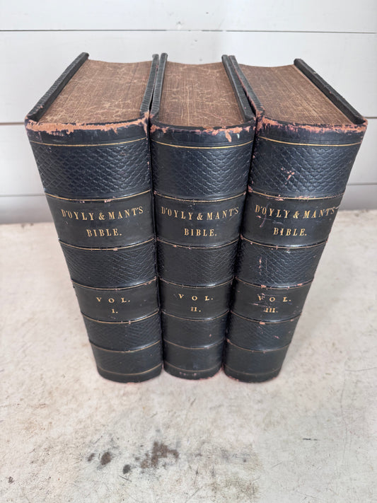 The Holy Bible 3 Vol 1839 D'Oyly & Mant Large Quartos Leather Hand-Colored