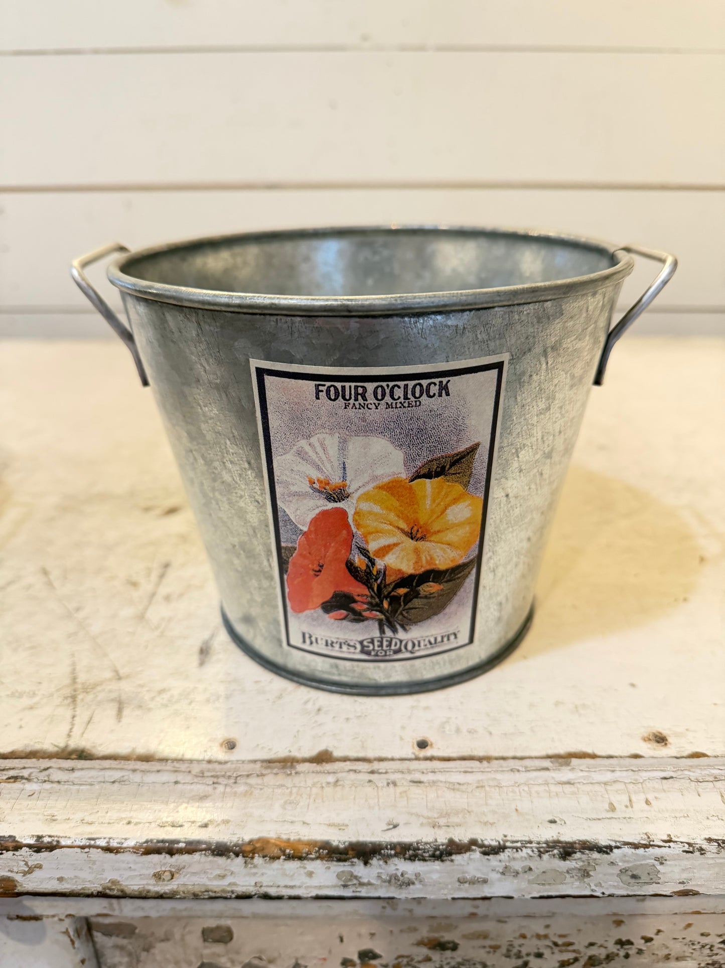 Galvanized Bucket With Garden Labels - Sold Individually