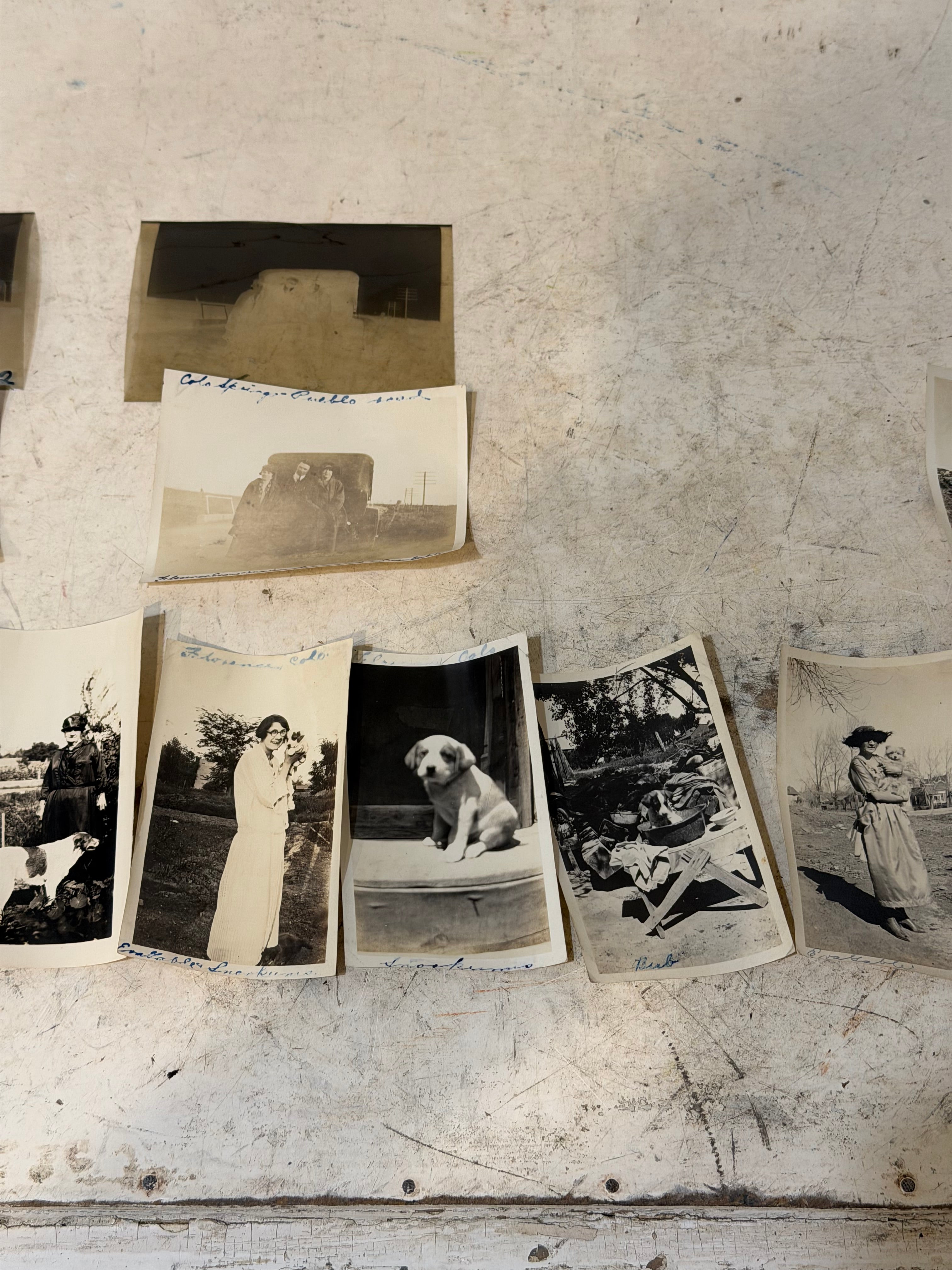 Vintage set of black and White Photos - Mostly of Dogs