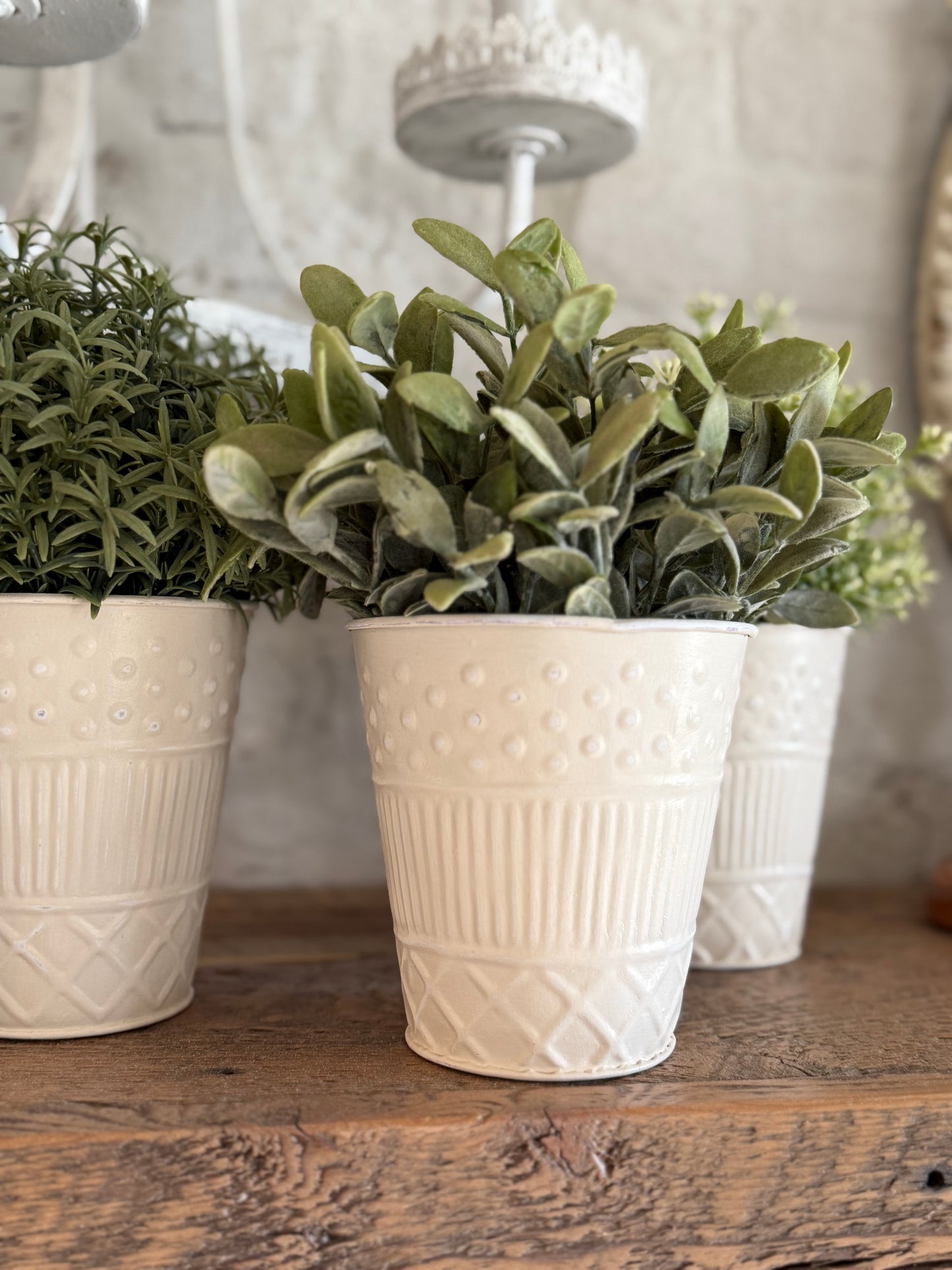 Cream Metal Bucket Hand Painted - Greenery not included