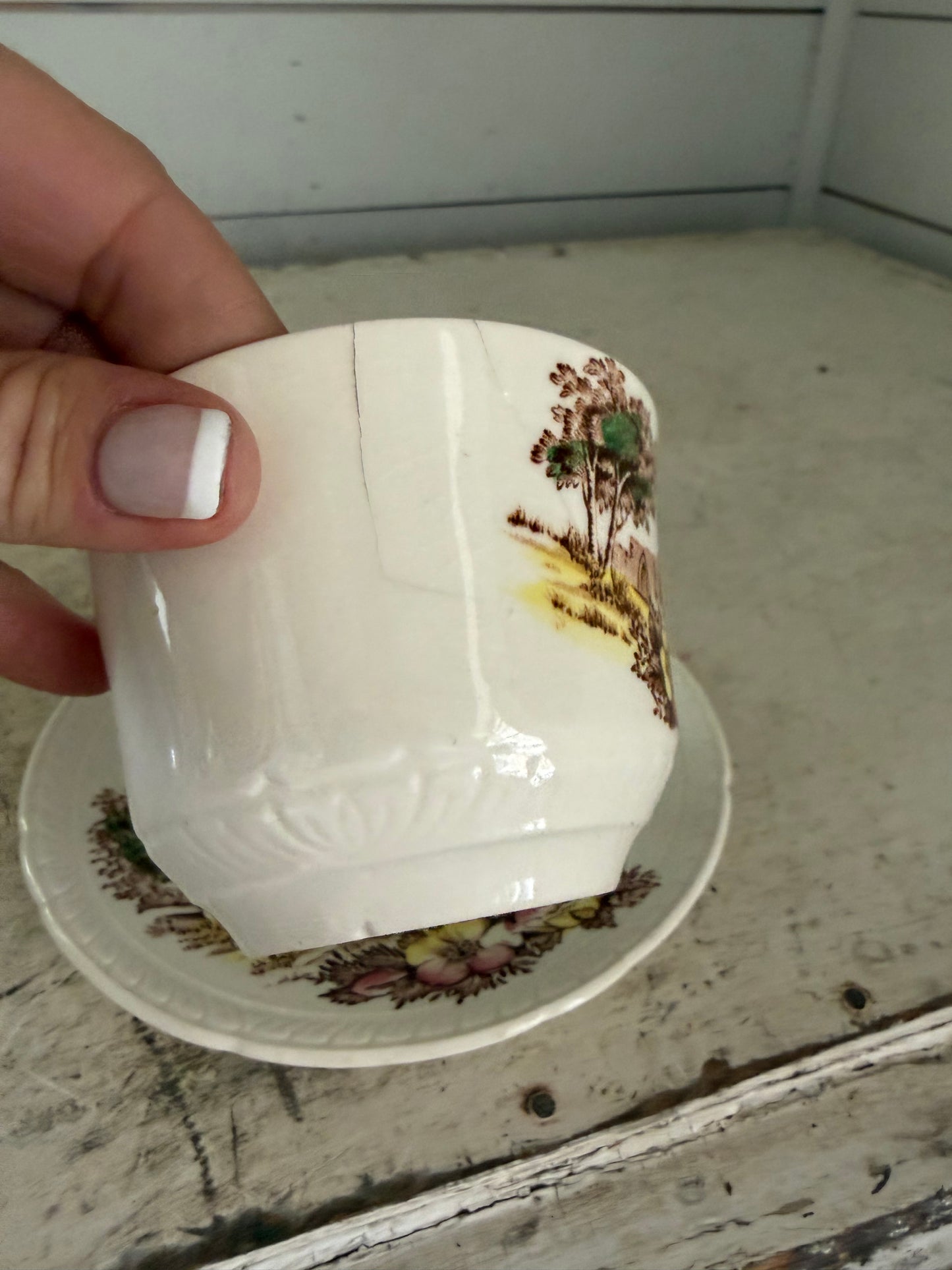 Vintage Royal Tudor Ware Olde Abbey Teacup & Saucer & small plates sold individually