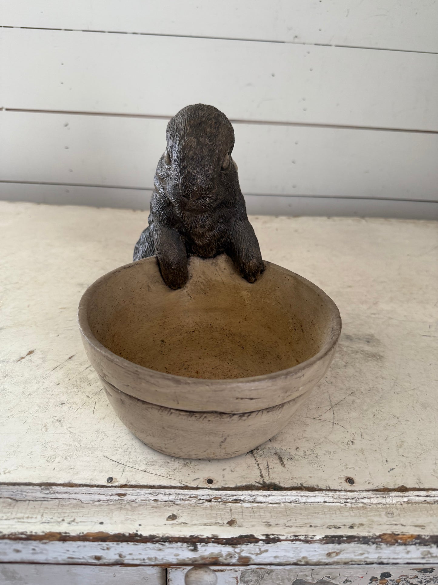 Bunny sitting by bowl planter