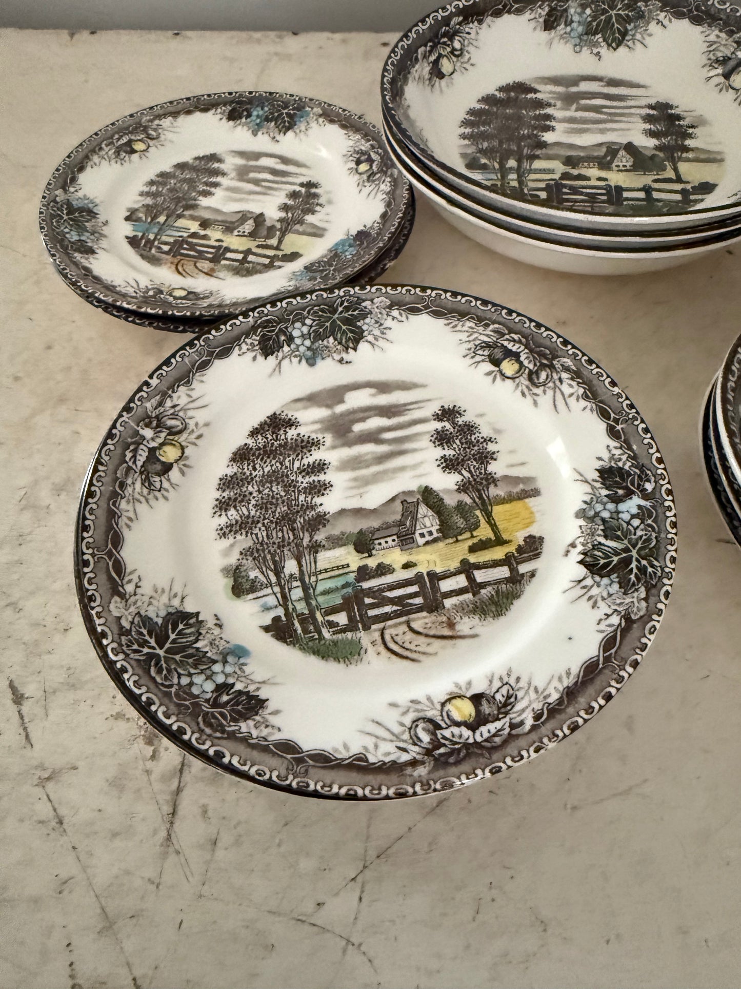 Vintage Spring Valley Dishes