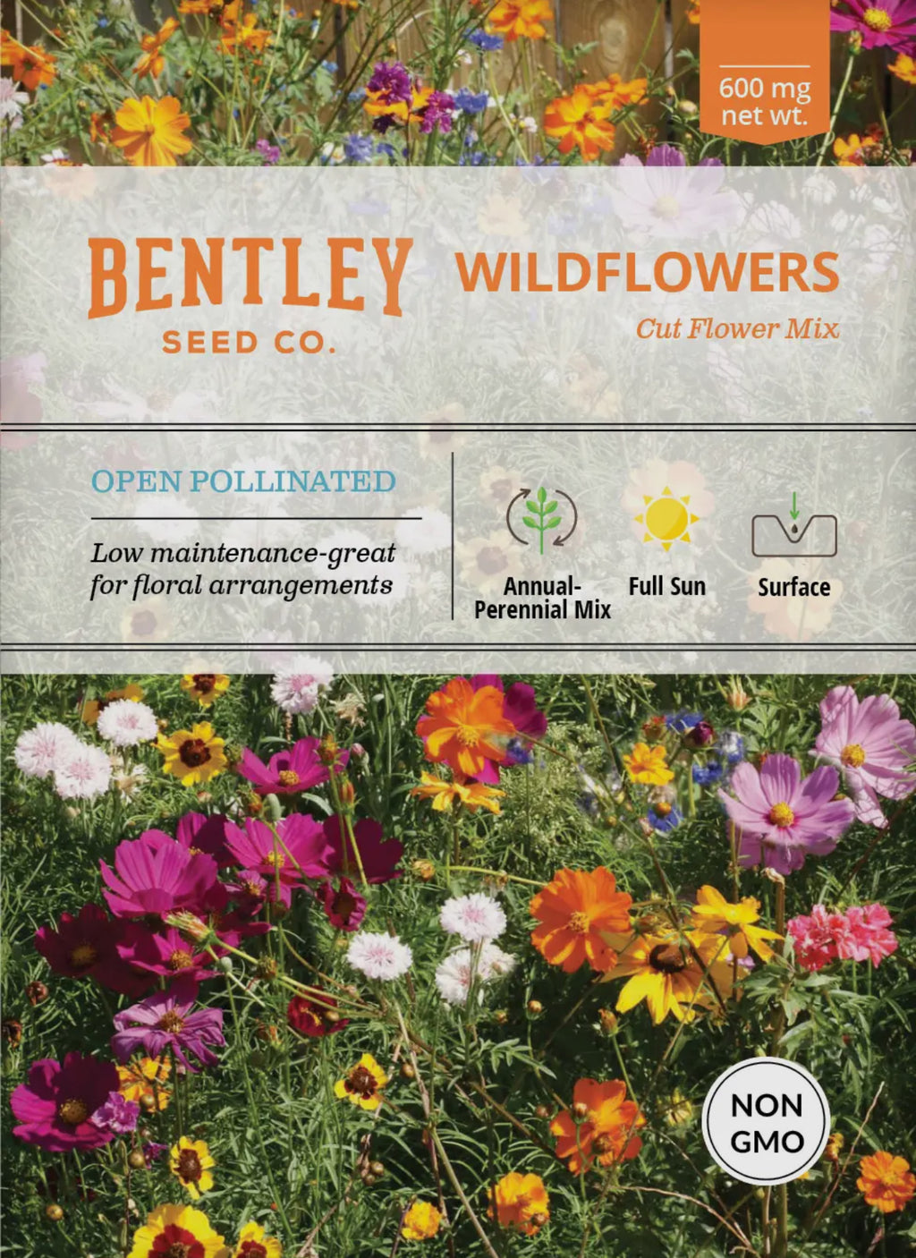 Bentley Seeds