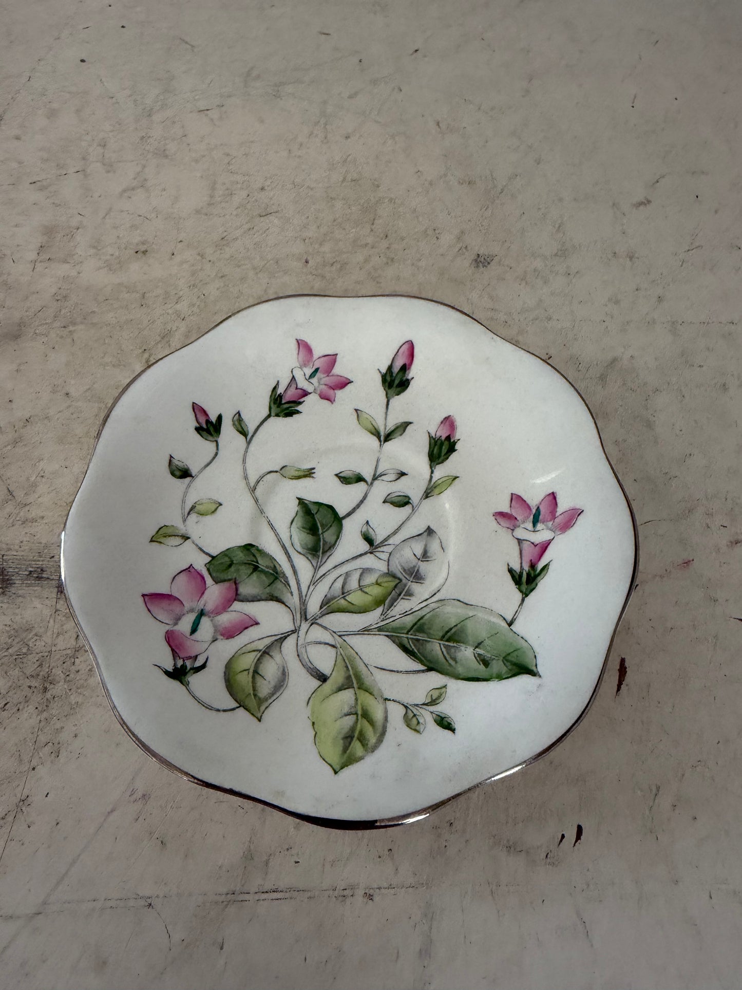 Foley saucer "Campanula" pattern