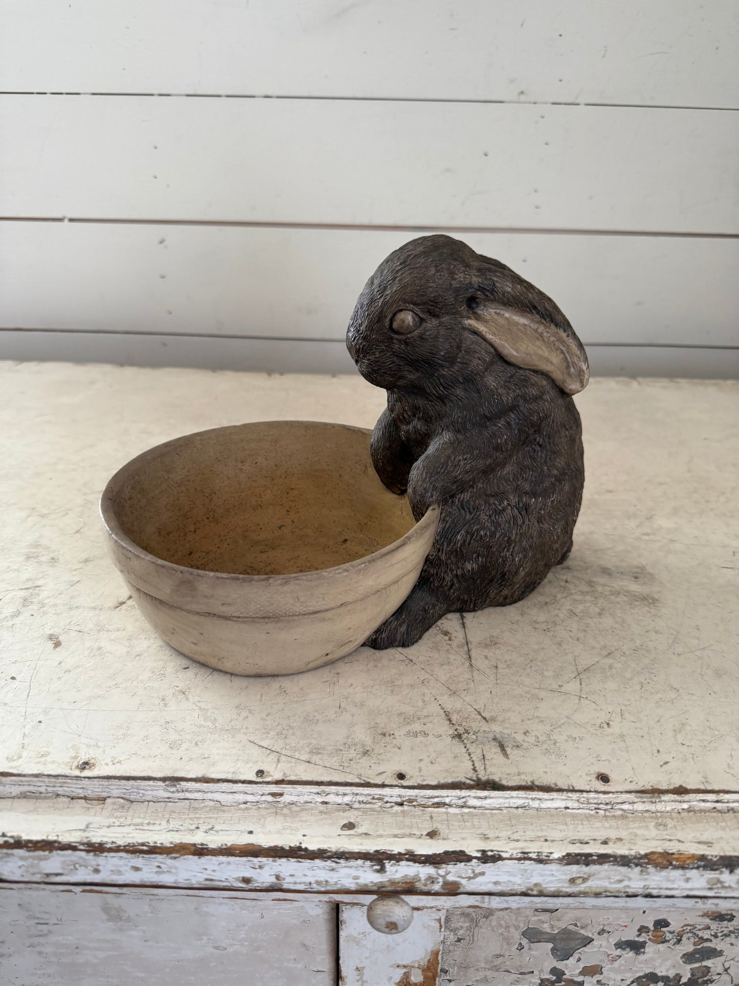 Bunny sitting by bowl planter