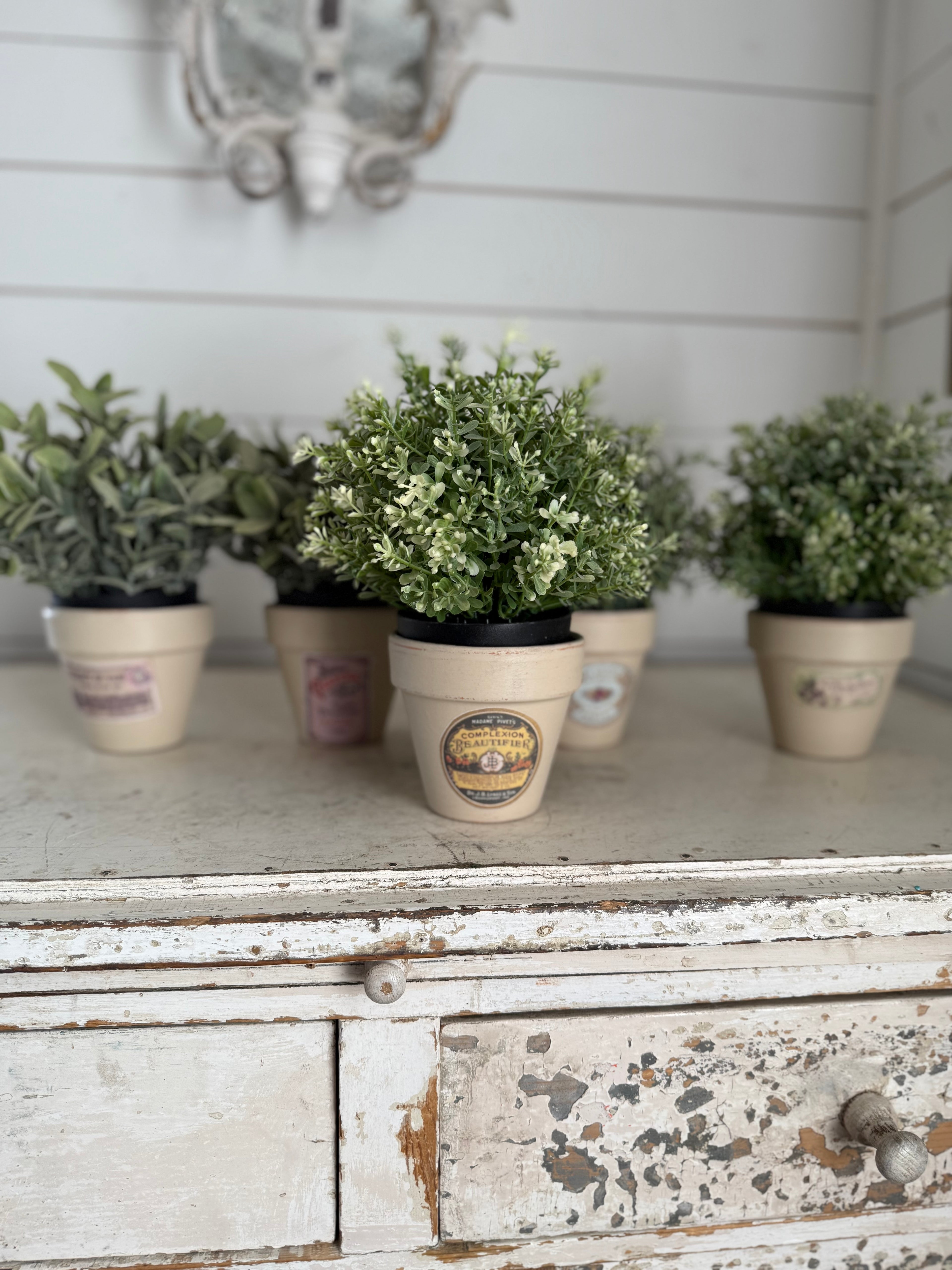 Terracotta Label Pot Sold Individually - Greenery not included