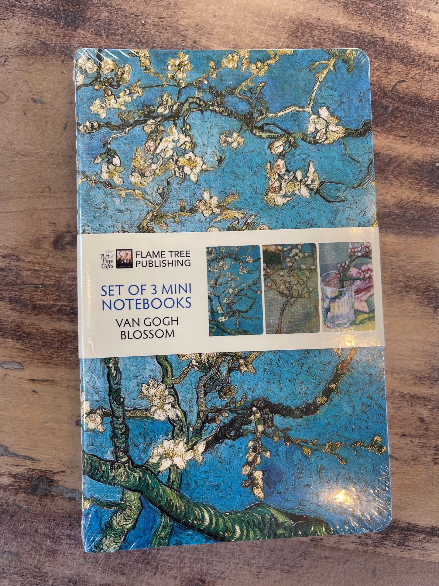 Vincent Van Gogh: Blooms Set of 3 Mini Notebooks