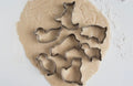 Farm Animal Cookie Cutter Set