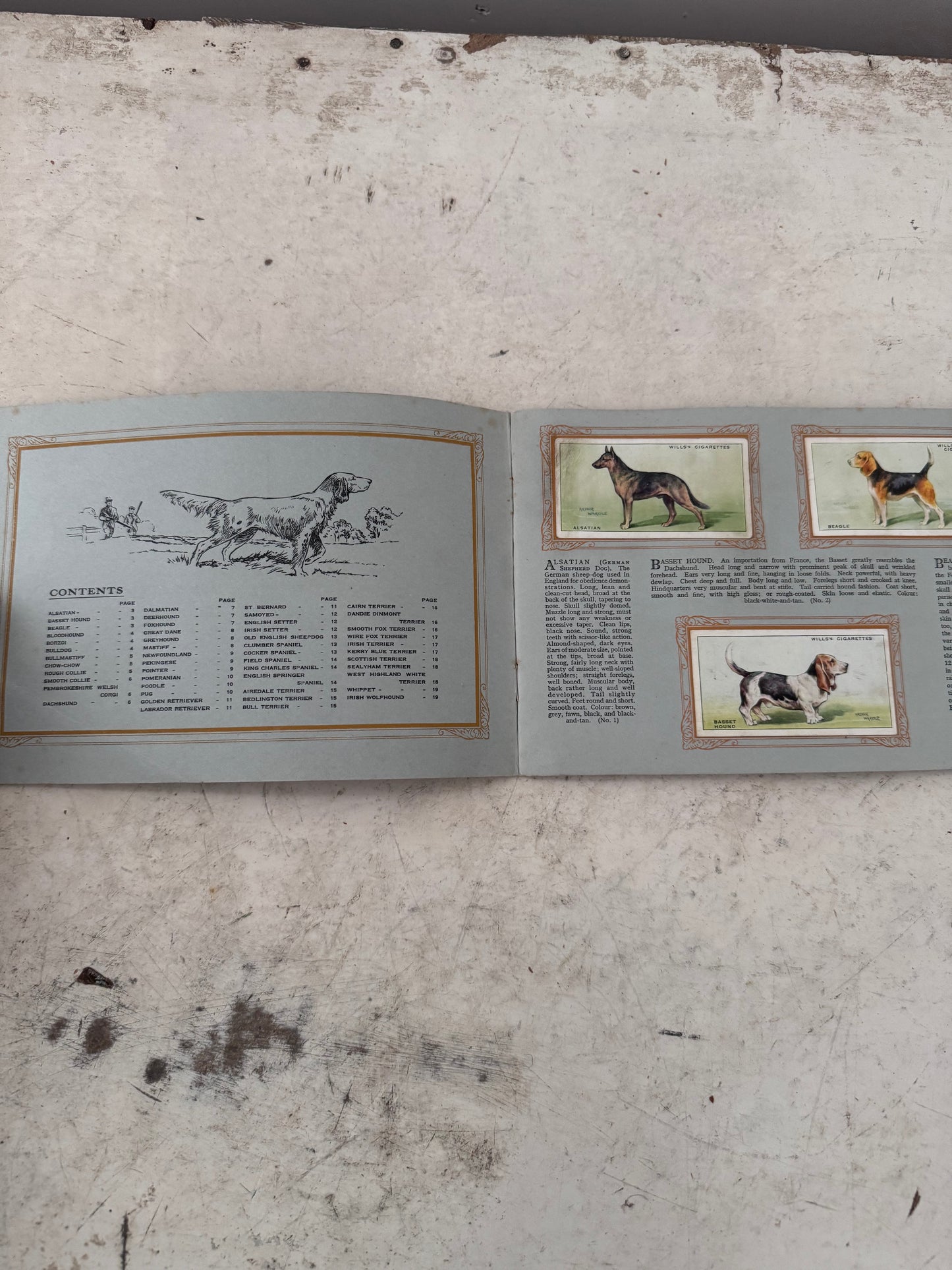 An Album of Dogs Cigarette Card Album