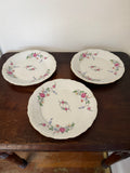 Royal Kent Collection Poland Bavarian Rose China Round 10” Dinner Plate - sold individually