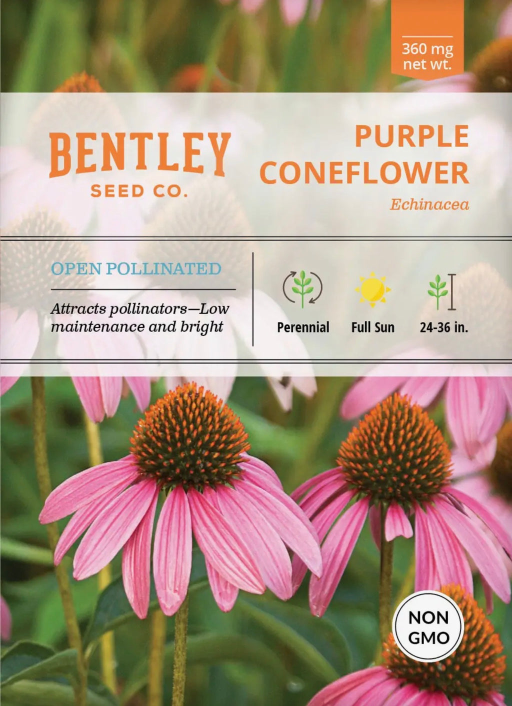 Bentley Seeds