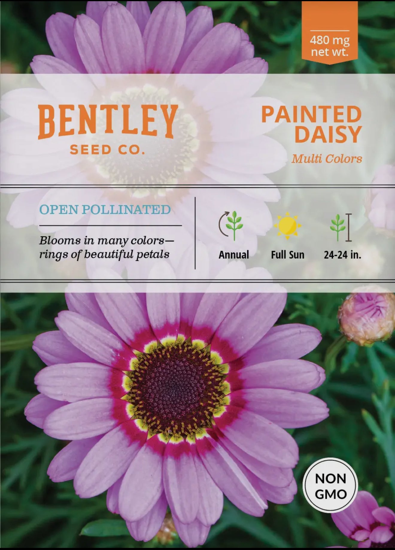 Bentley Seeds