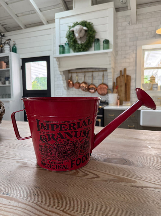 Red Watering Can Planter with drainage holes