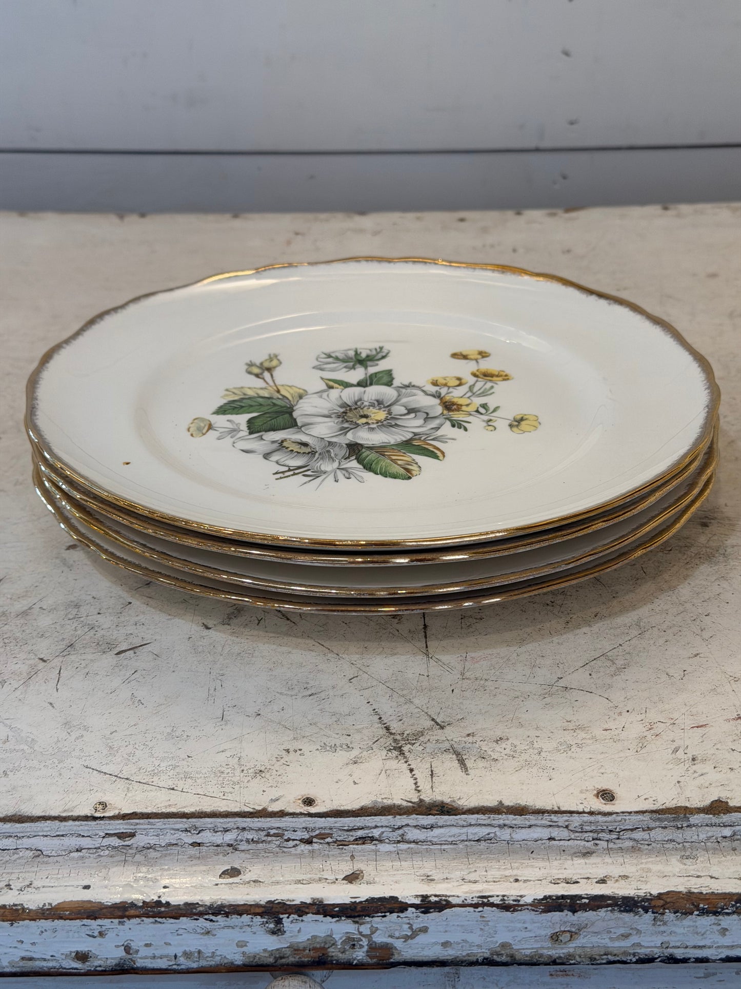 Canonsburg "Linda" pattern dinner plate sold individually