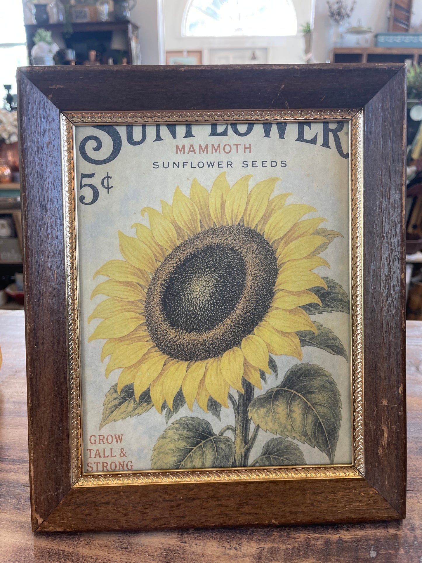 8x10” Brass and Wood Frame Sunflower Print