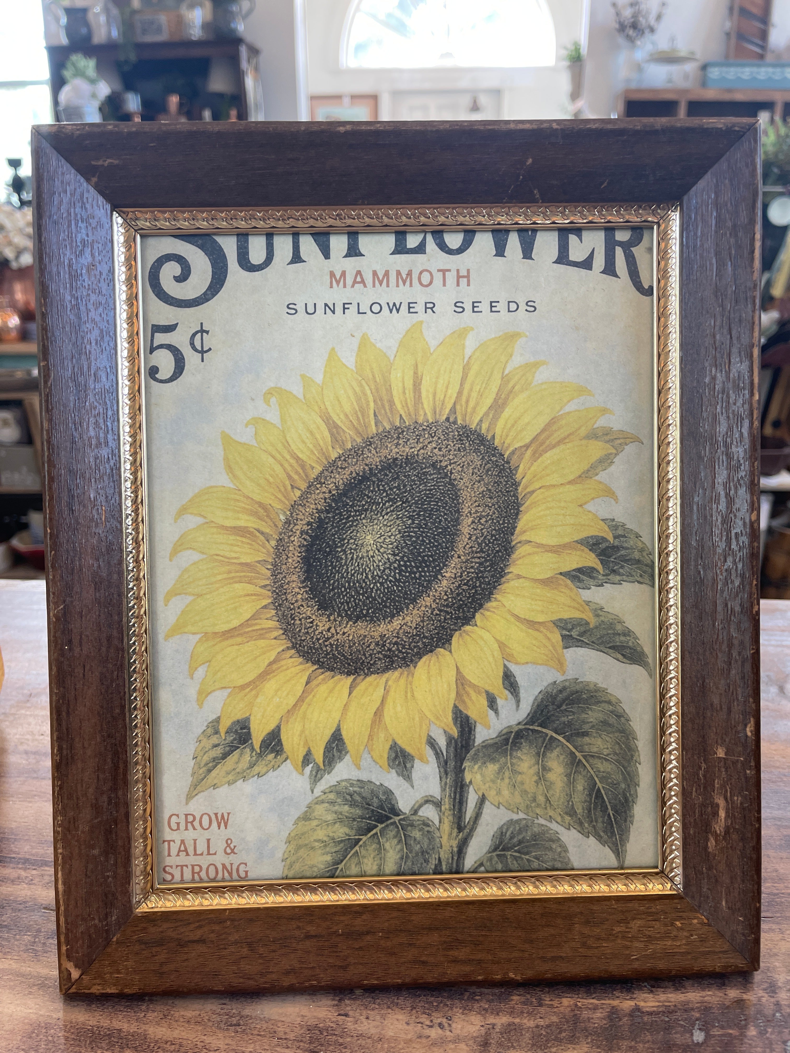 8x10” Brass and Wood Frame Sunflower Print