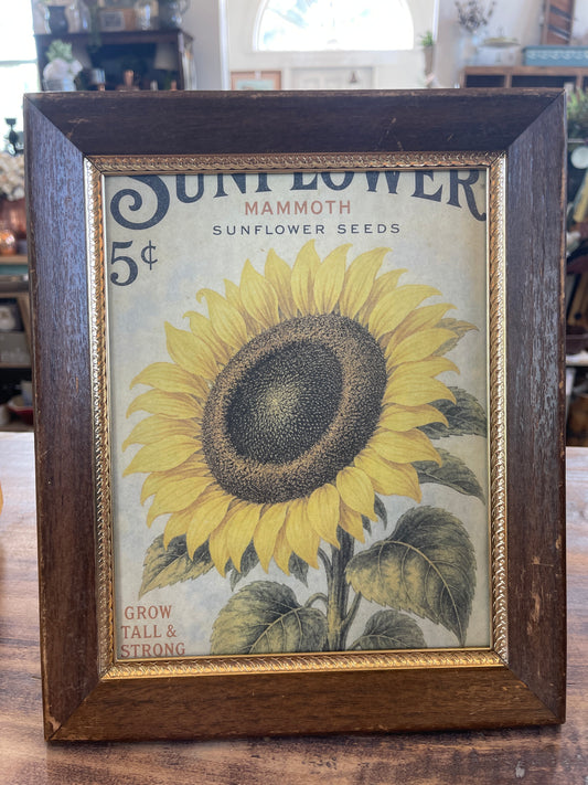 8x10” Brass and Wood Frame Sunflower Print