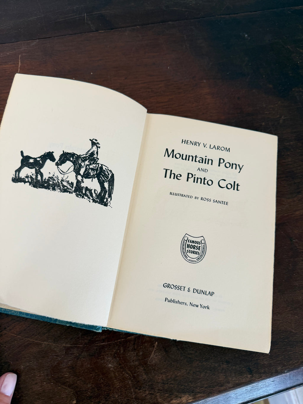 Famous Horse Stories Book