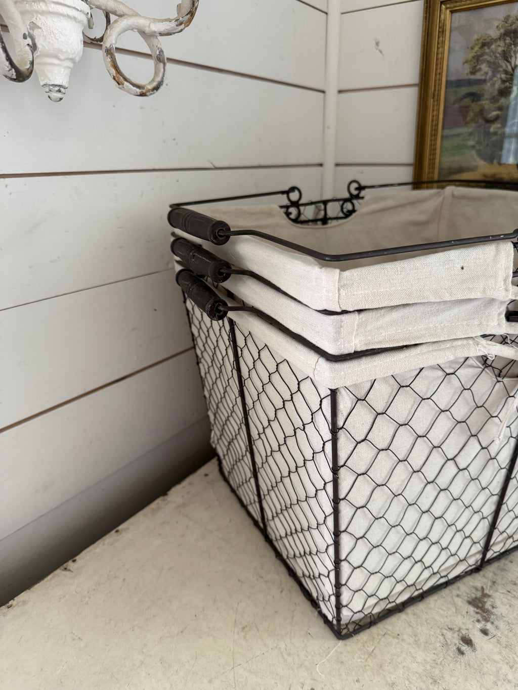 Set of 3 Oversized Chickenwire Baskets with Liners
