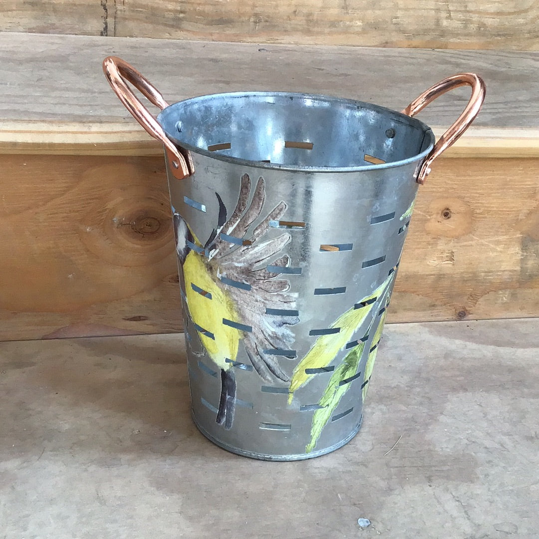 Aged Metal Bucket w/transfer