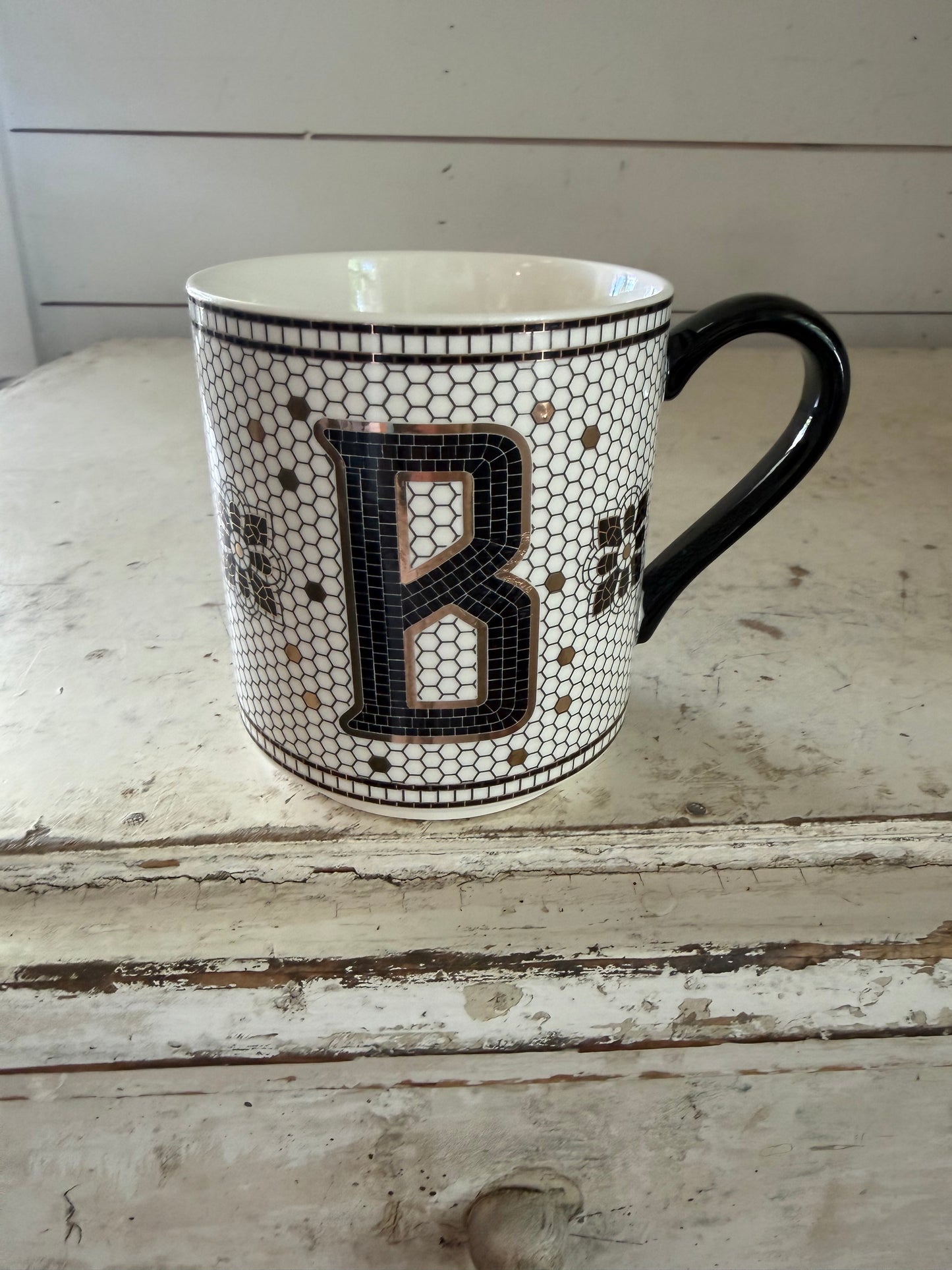 Anthropology B mug