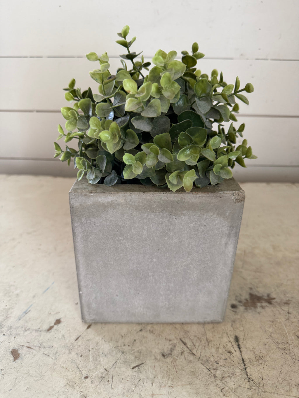 Cement planter greenery not included