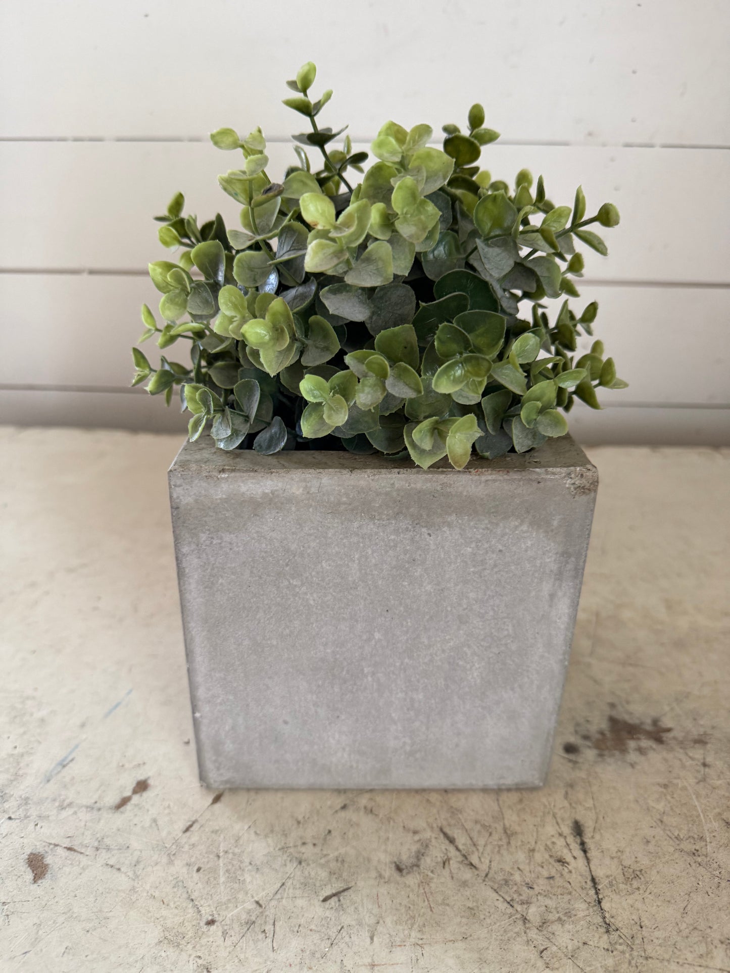 Cement planter greenery not included