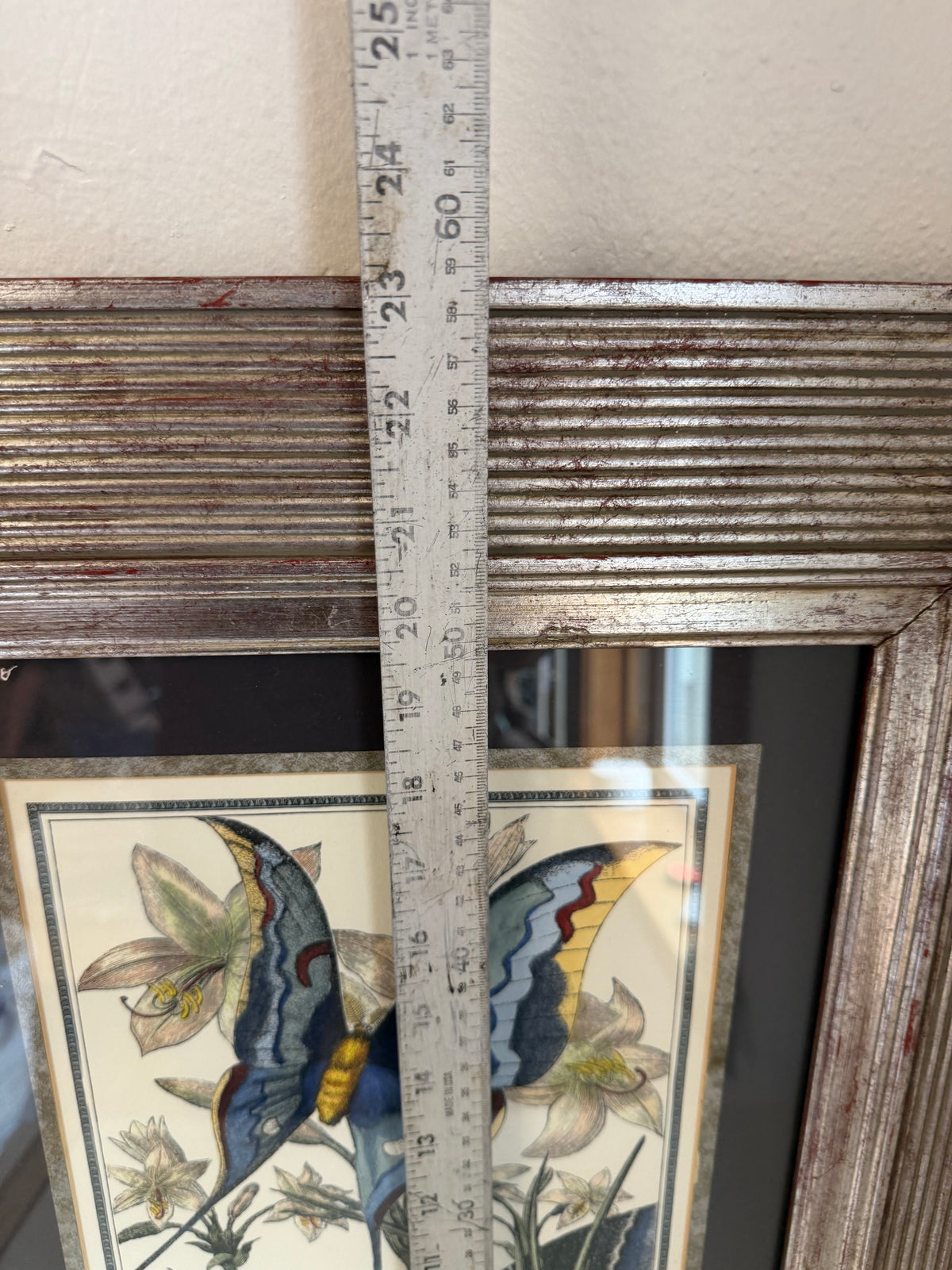 Framed Victorian Style Butterfly Print - Frame will be painted
