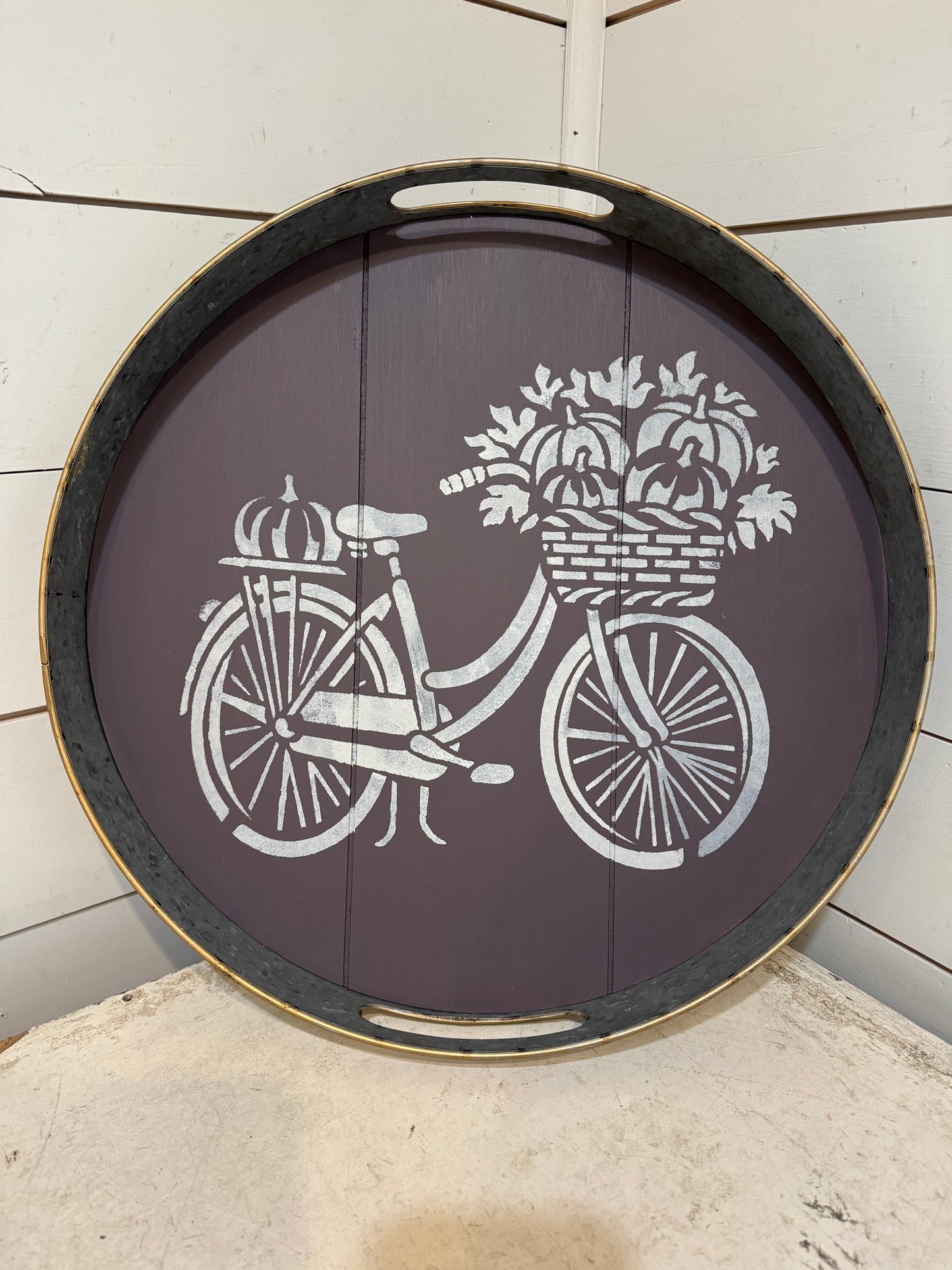 Bicycle Tray