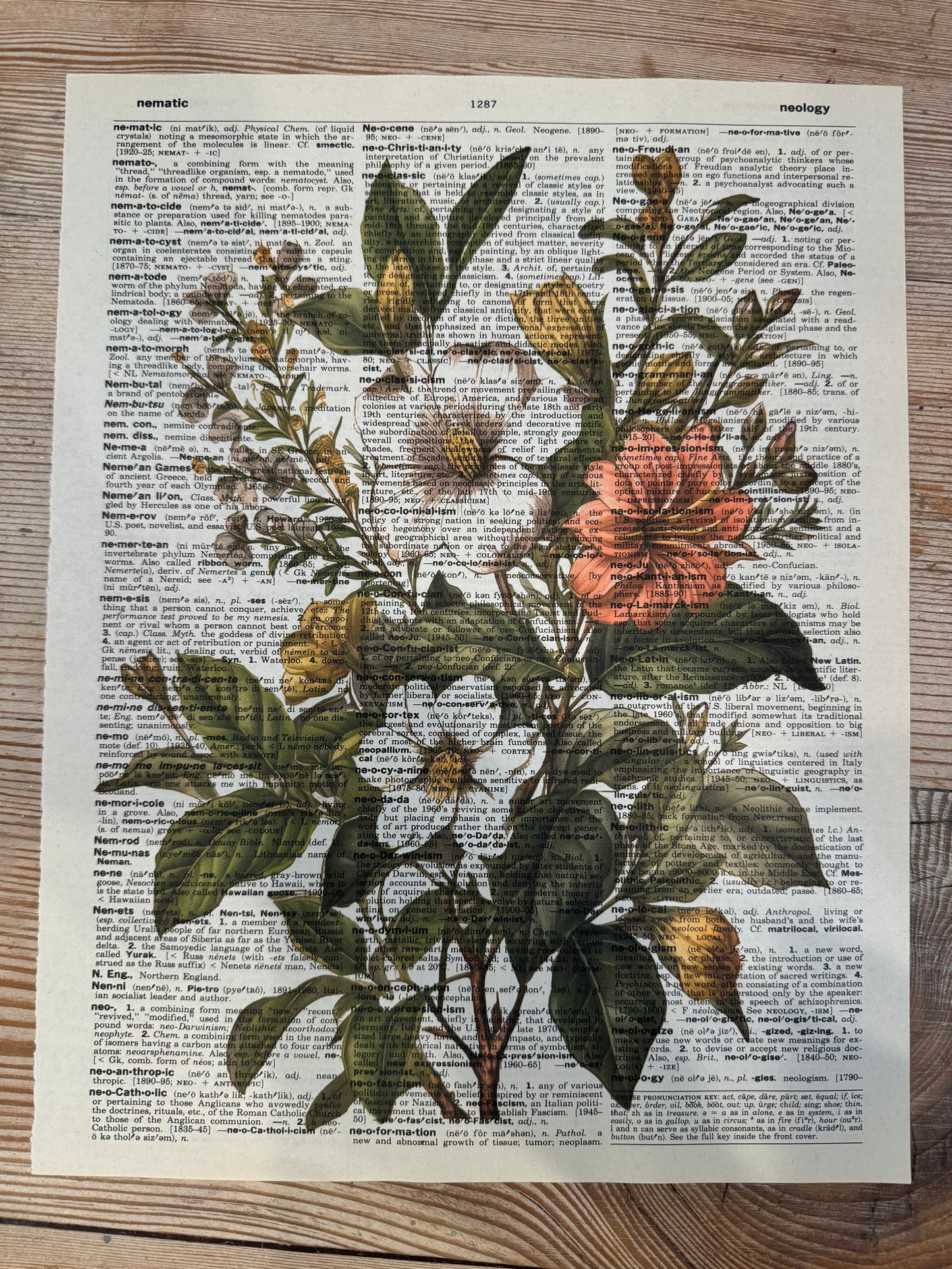 Flowers Dictionary Page