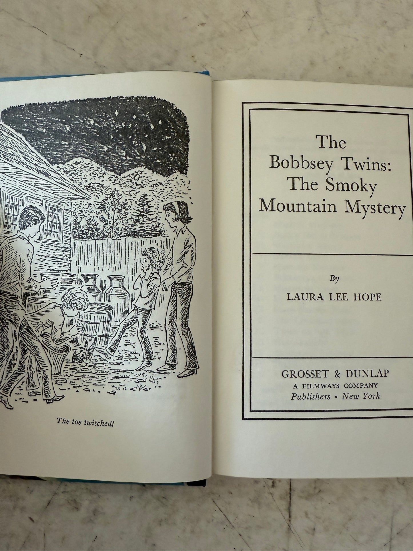 The Bobbsey Twins: The Smoky Mountain Mystery