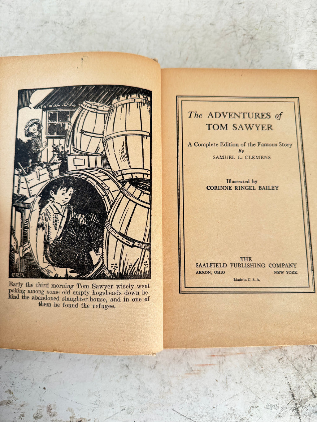 The adventures of Tom Sawyer