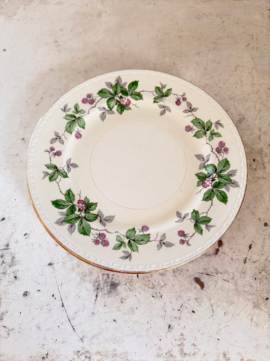 Homer Laughlin Greenbriar dinner plate from the Georgian Eggshell line sold individually