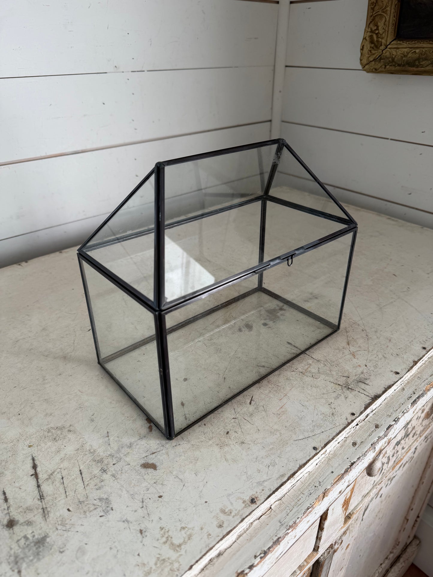 Metal and Glass Mini Terrarium