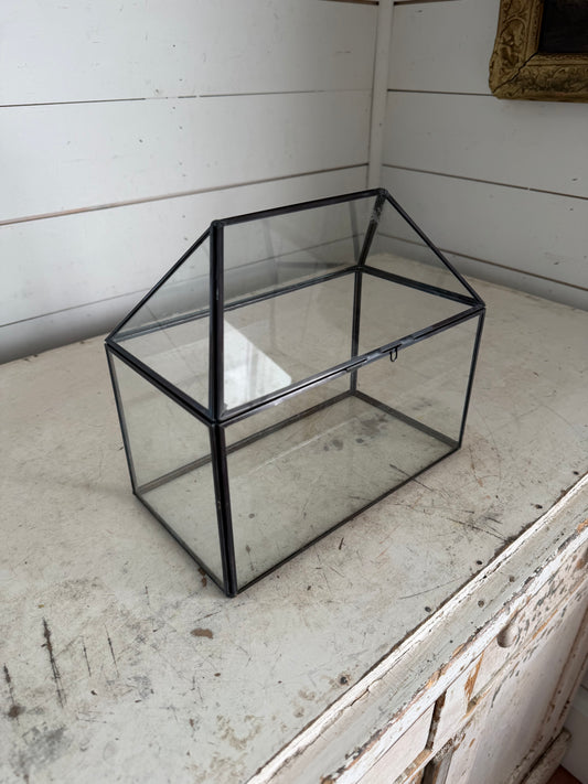 Metal and Glass Mini Terrarium