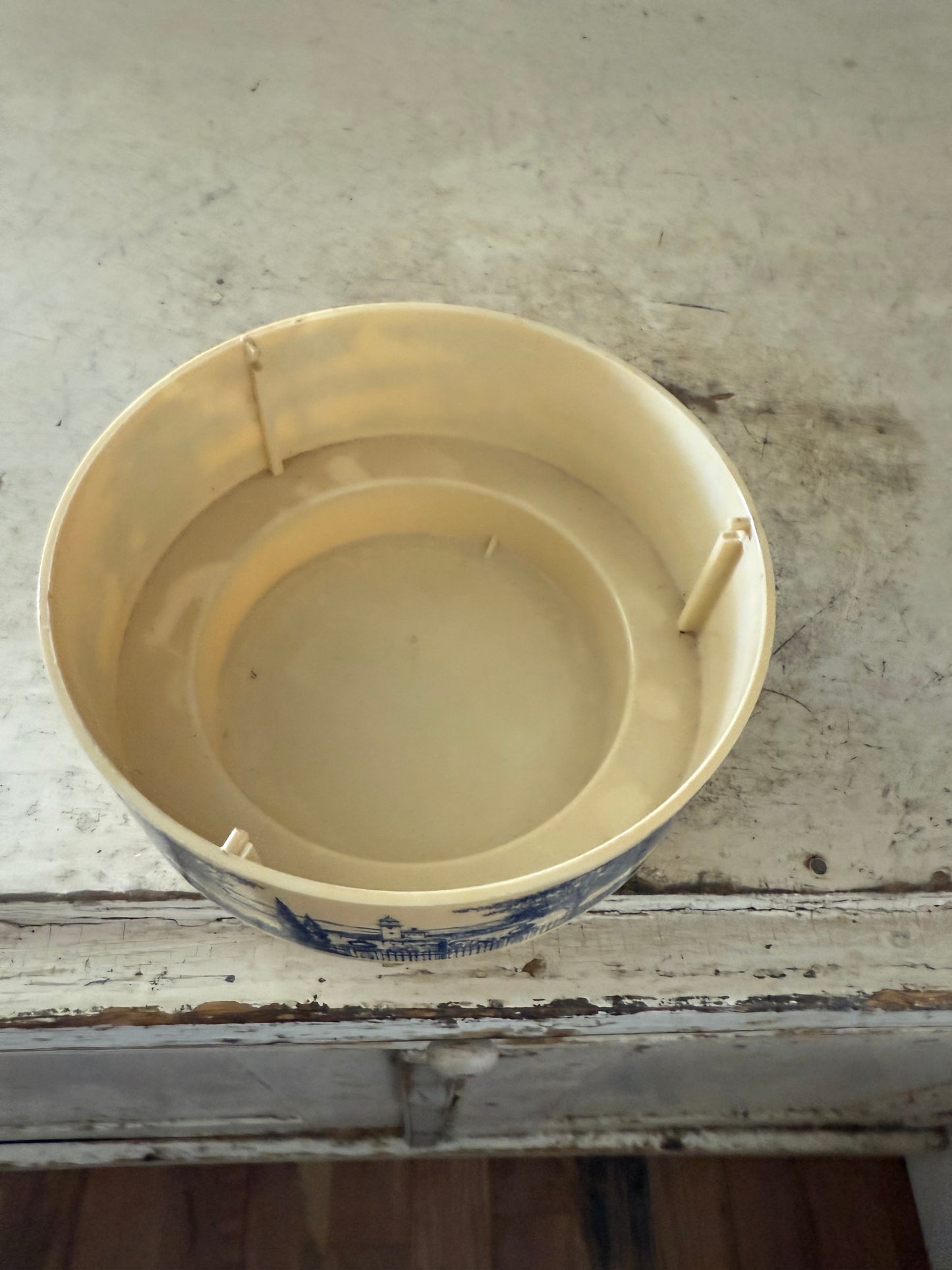 Blue and White Plastic Bowl