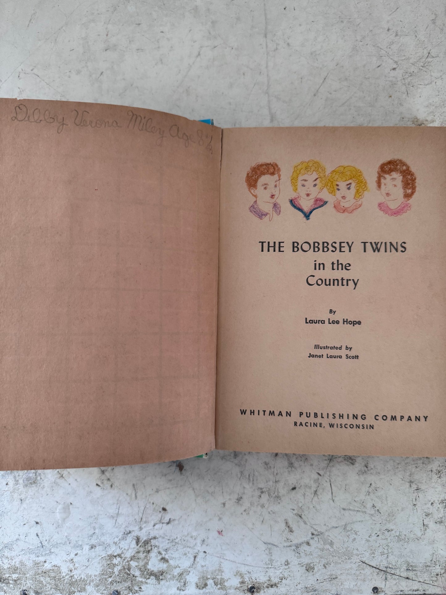 The Bobsey Twins in the Country