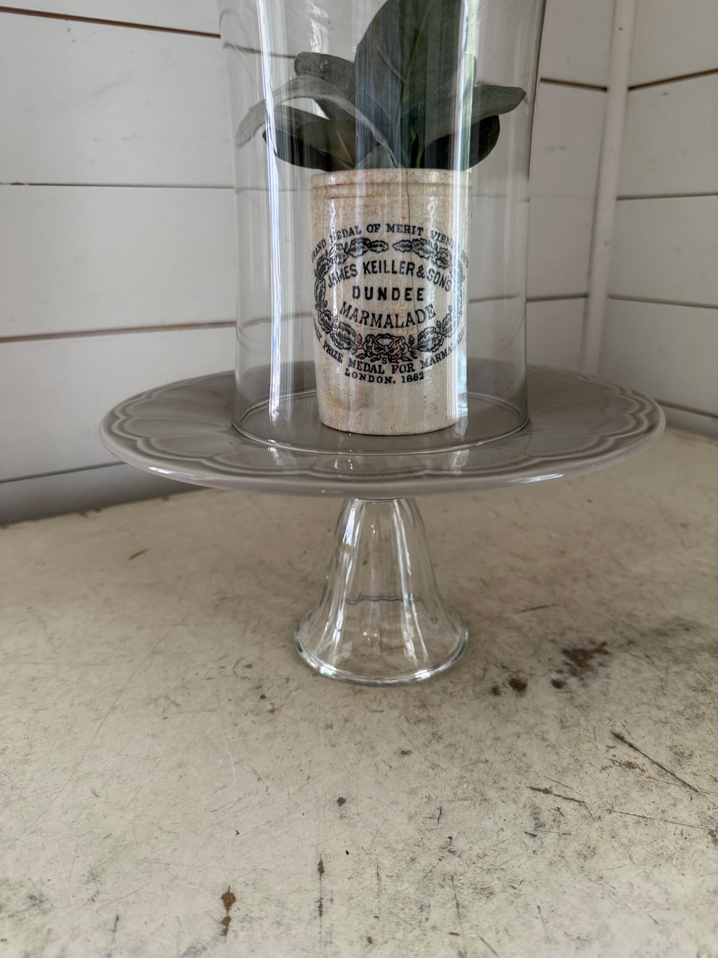 Cloche with Knob and plate - decor inside not included