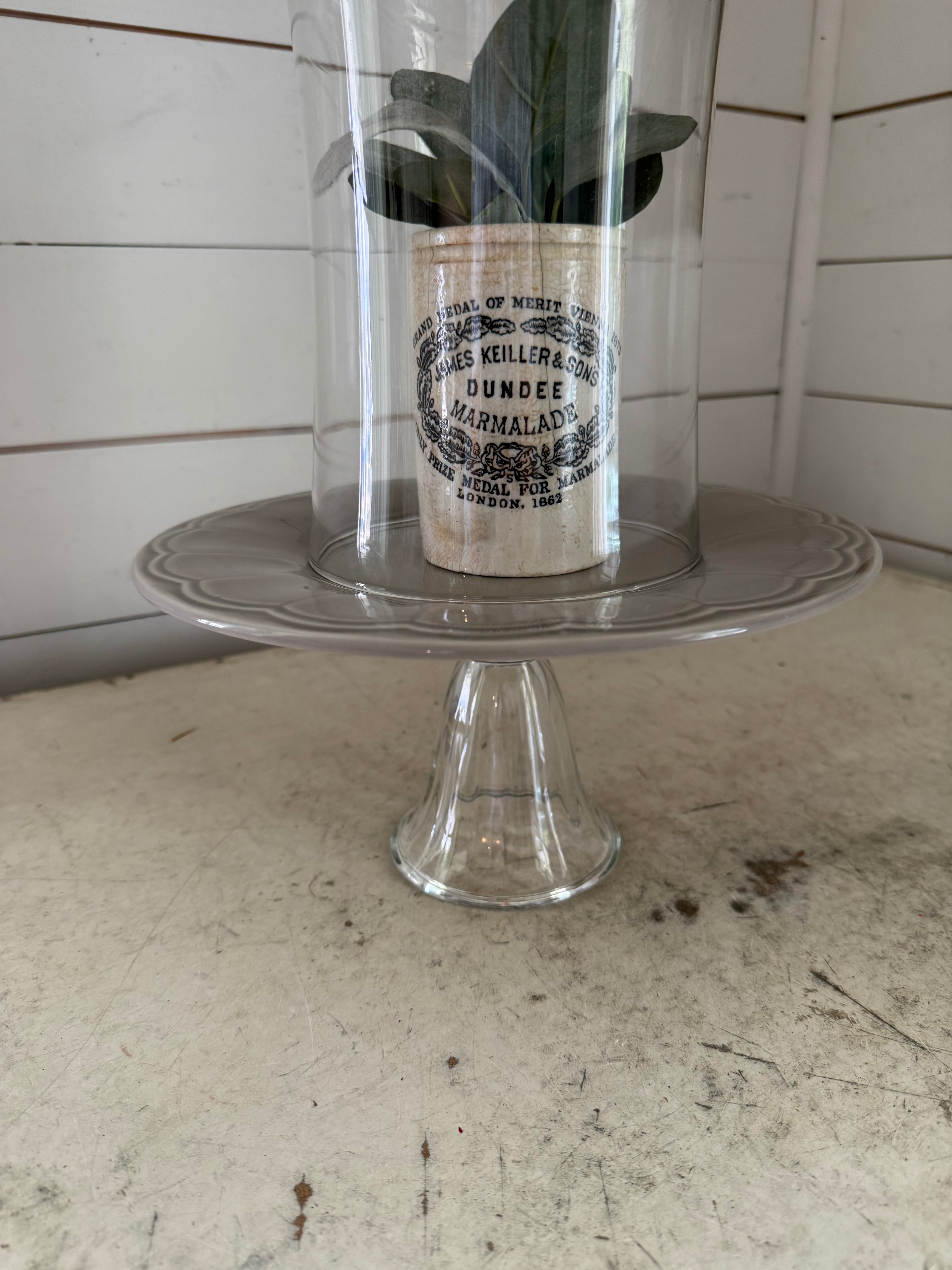 Cloche with Knob and plate - decor inside not included