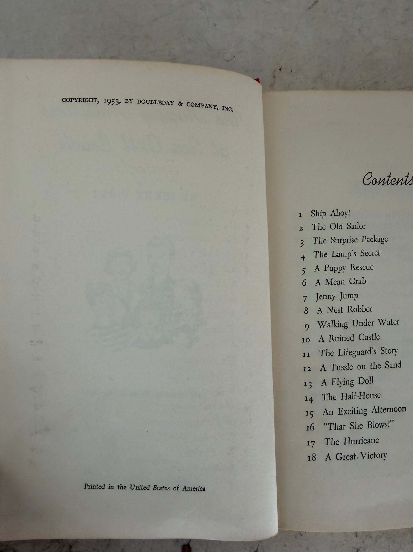 The happy Hollister’s at Seagull Beach Book