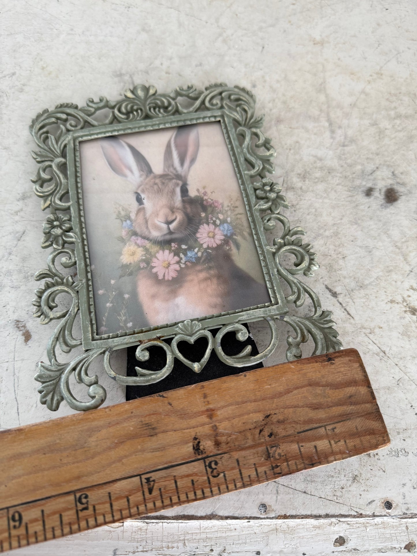 Framed Bunny Photo