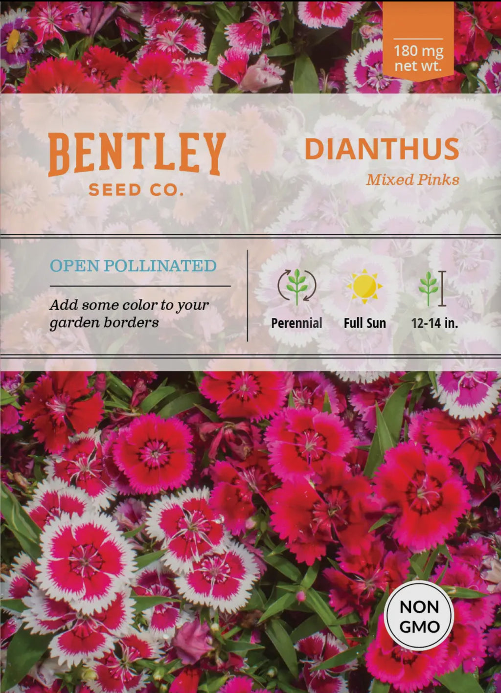 Bentley Seeds
