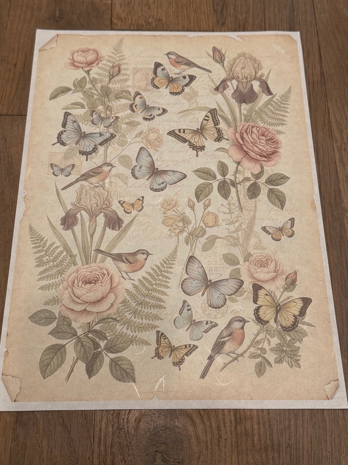 JRV Paper Subscription | Sign Up by 01/12/26 To Get January 2026 Papers