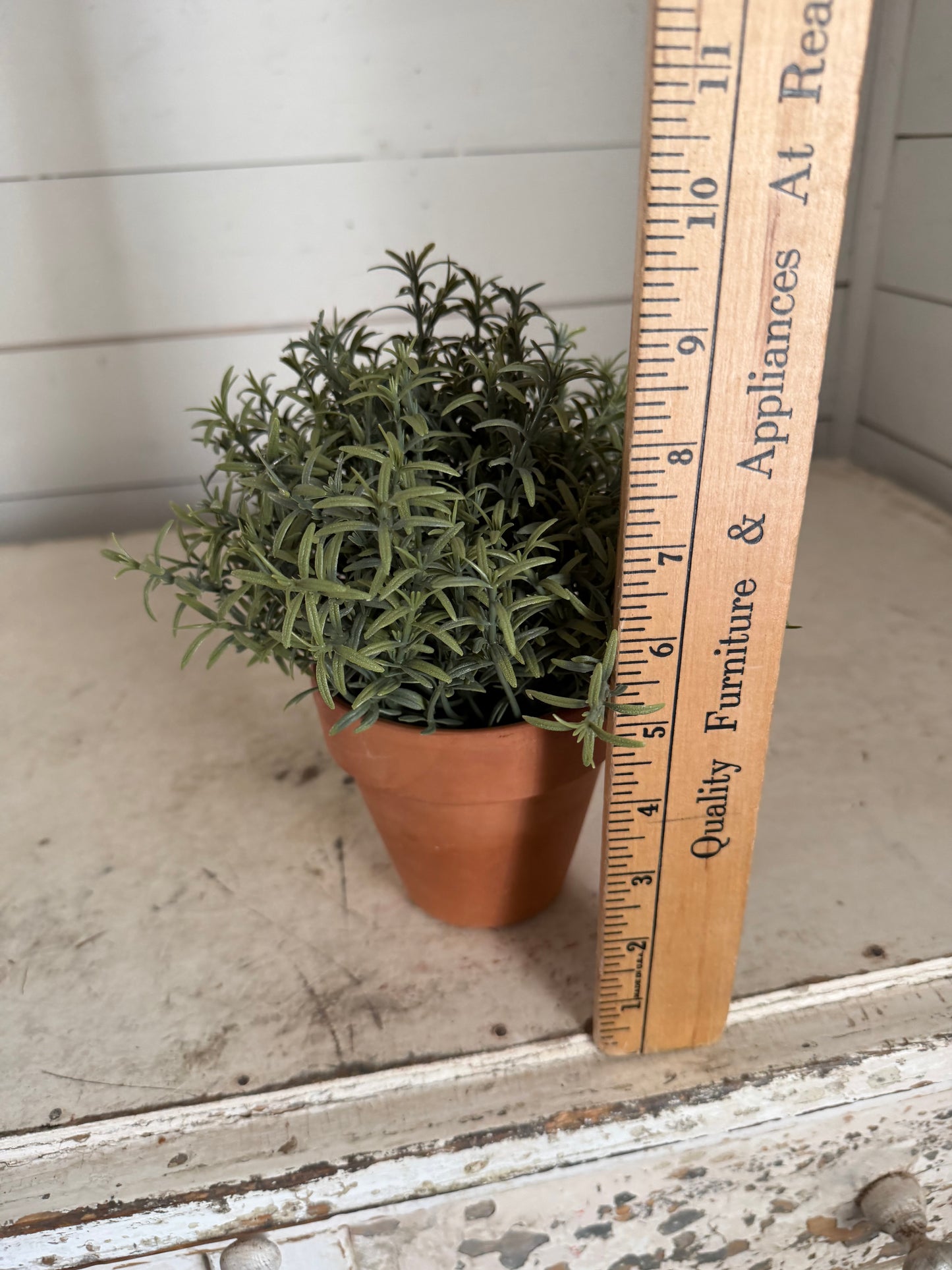Faux Rosemary in Terracotta pot